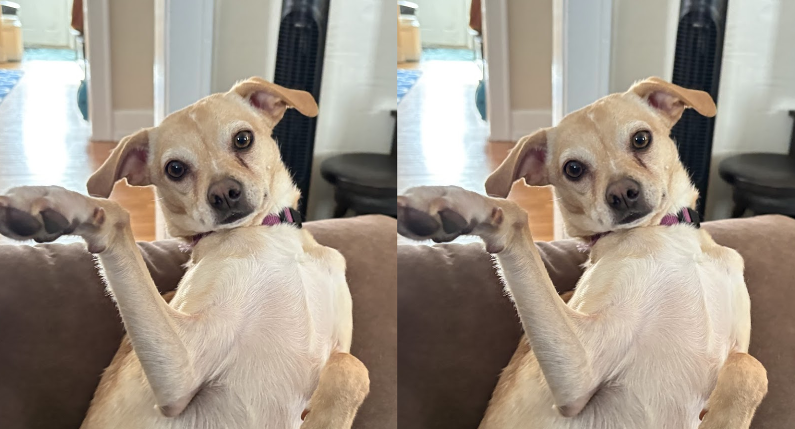 before and after message encoding