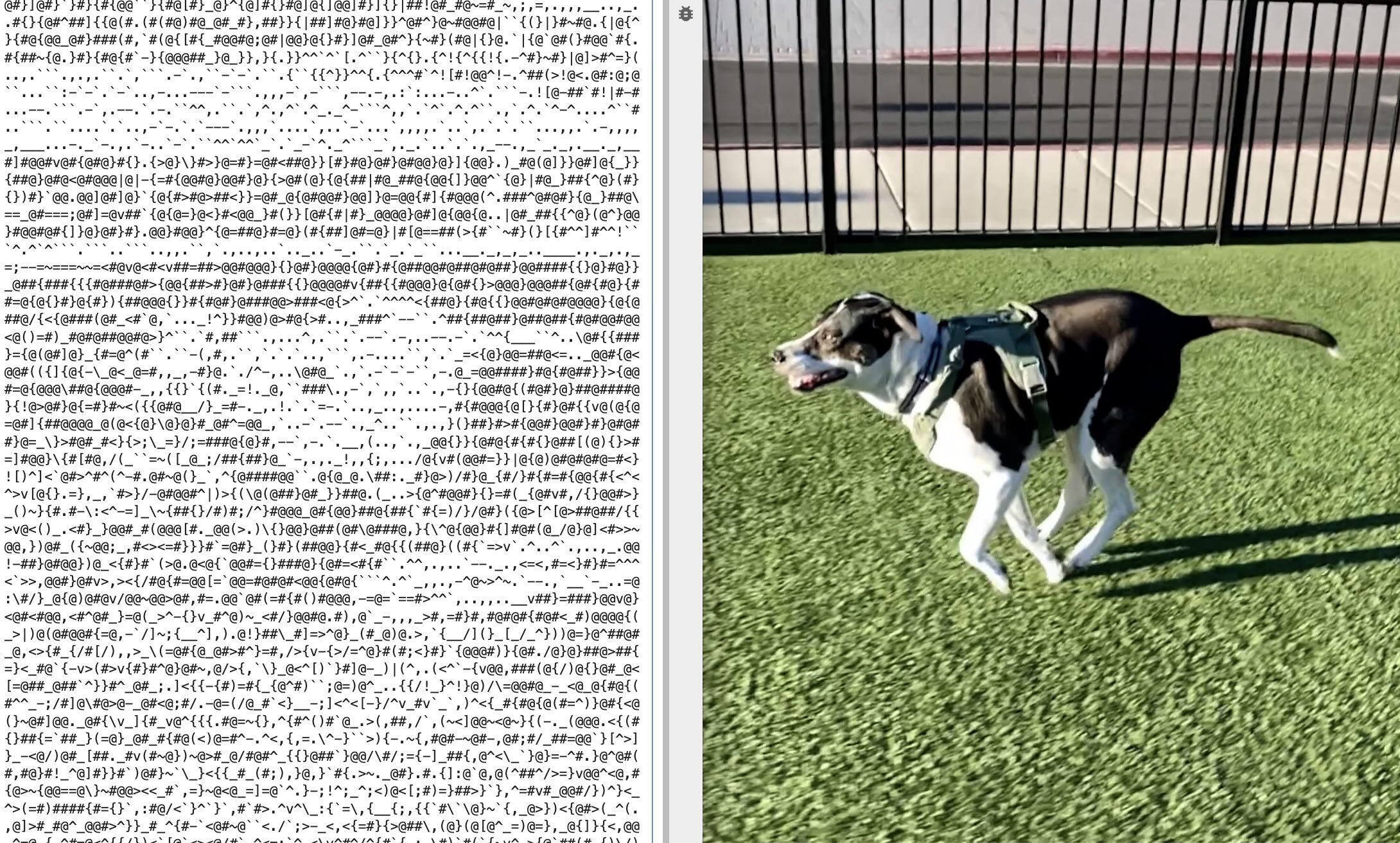side by side ASCII and source